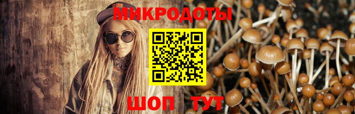 Кушва  закладка  Вход с VPN  Псилоцибиновые грибы Psilocybine cubensis 